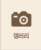 메뉴